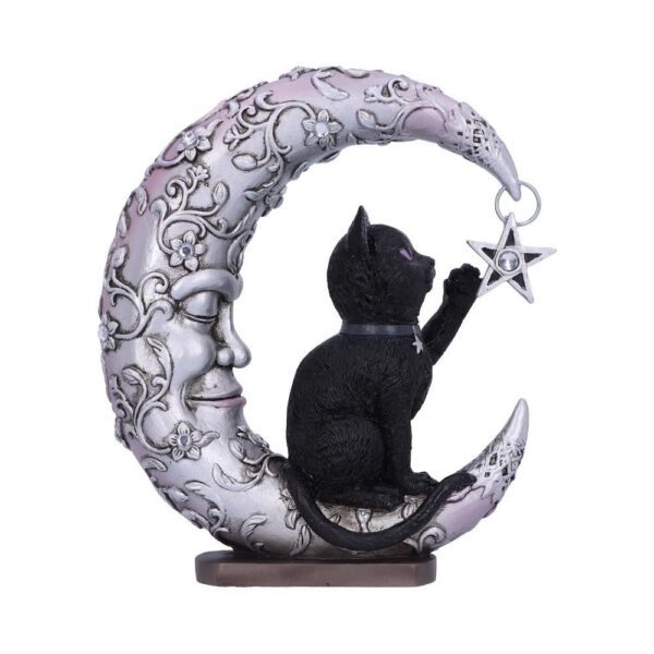 Gattino Luna Companion