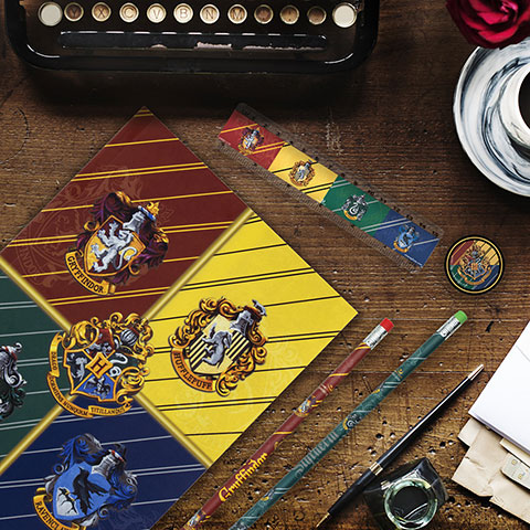 Harry Potter Set di cancelleria case di Hogwarts