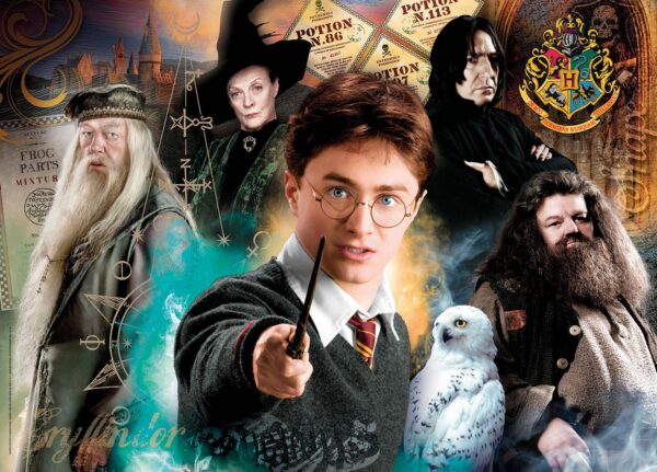 Harry Potter Hogwarts Professori Puzzle (500 Pezzi)