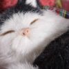 Gatto decorativo in finto pelo addormentato nella cuccia - immagine 2