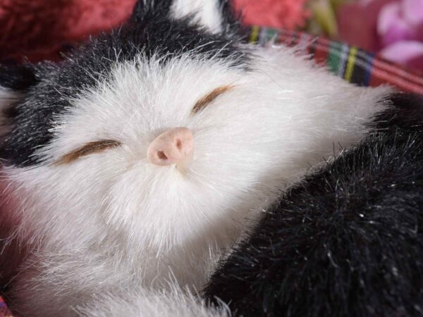 Gatto decorativo in finto pelo addormentato nella cuccia