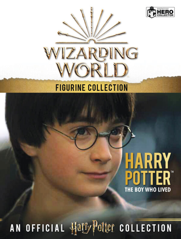 Harry Potter e Hedwig - immagine 6