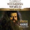 Harry Potter Statuetta di Hagrid - immagine 5