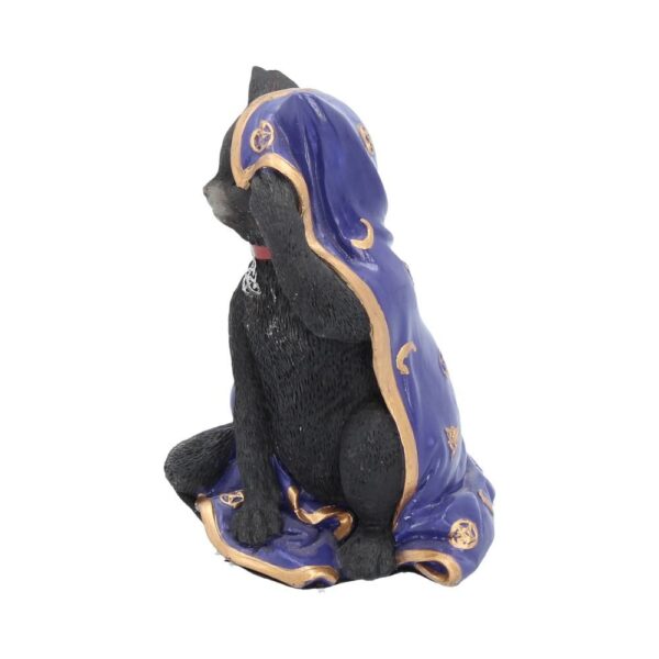 Gatto Jinx con Mantello