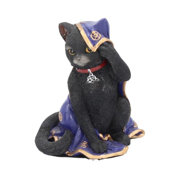 Gatto Jinx con Mantello