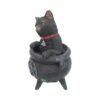 Gatto Smudge Sfumino Nemesis Now - immagine 3