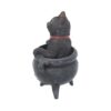 Gatto Smudge Sfumino Nemesis Now - immagine 2