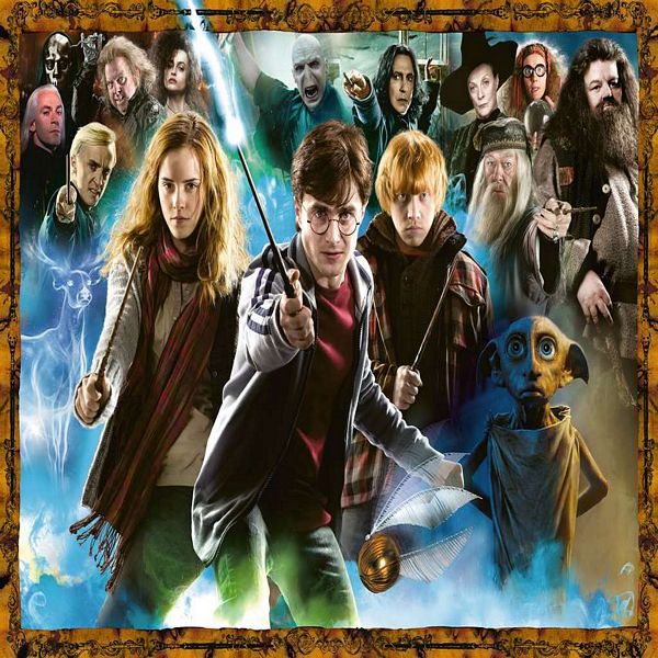 Harry Potter e Company