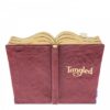 Walt Disney Jim Shore Rapunzel e Flynn Storybook - immagine 2