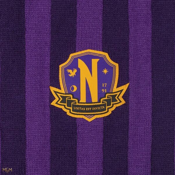 Sciarpa viola Nevermore Academy Mercoledì - immagine 4