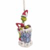 Il Grinch che si arrampica nel camino 