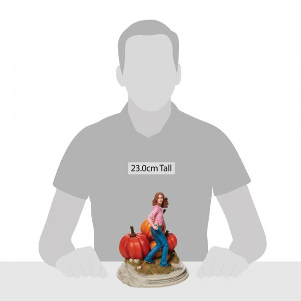 Statuetta Hermione anno tre il mondo magico di Harry Warner Bros. Entertainment Inc Statue - immagine 7