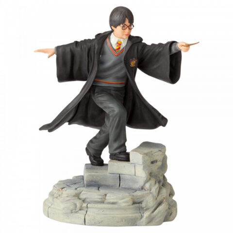 harry potter enesco (1)
